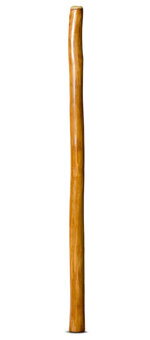 Gloss Finish Didgeridoo (TW929)